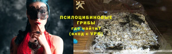 2c-b Гусиноозёрск