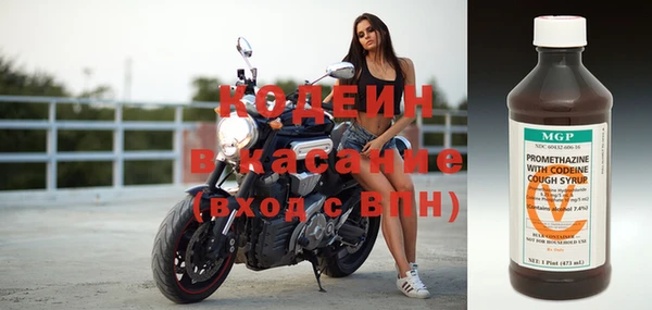 ПСИЛОЦИБИНОВЫЕ ГРИБЫ Горно-Алтайск