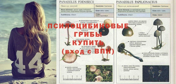 2c-b Гусиноозёрск
